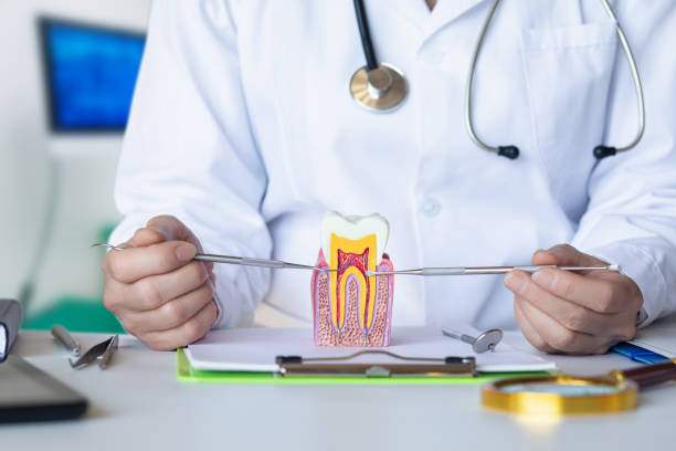 Best Emergency Treatment for Dental Infections or Abscesses in Sharon Center, OH